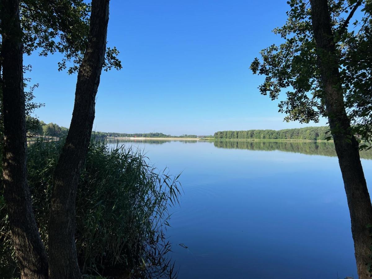 Family & Business Sauna Teznia No 10 Vip -lesny Nad Zalewem Cedzyna, Unikat Spa- 1 Bedroom With Private Sauna, Jacuzzi, Spectacular View Terrace, Parking, Catering Options Apartment Kielce