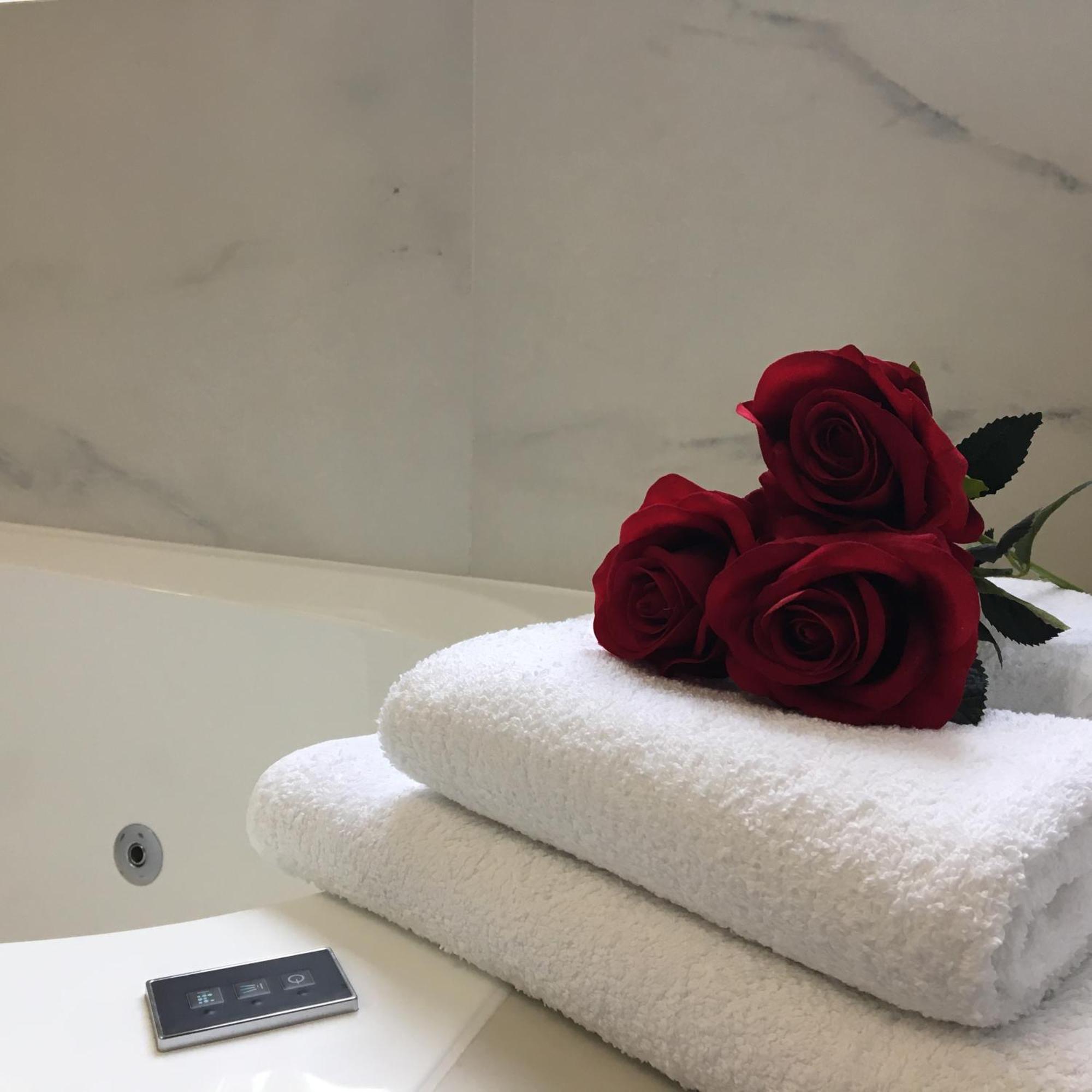 Family & Business Sauna Teznia No 10 Vip -lesny Nad Zalewem Cedzyna, Unikat Spa- 1 Bedroom With Private Sauna, Jacuzzi, Spectacular View Terrace, Parking, Catering Options Apartment Kielce