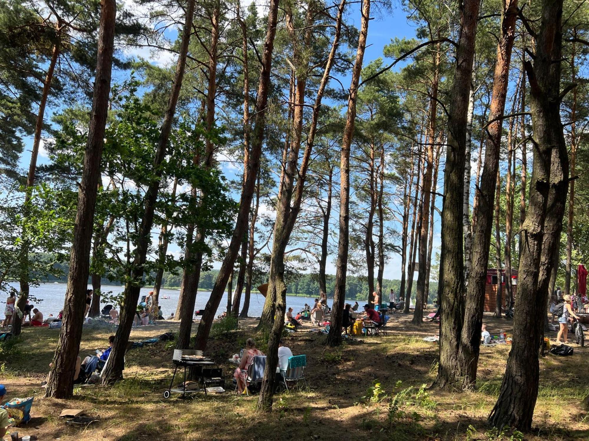 Apartment Family & Business Sauna Teznia No 10 Vip -lesny Nad Zalewem Cedzyna, Unikat Spa- 1 Bedroom With Private Sauna, Jacuzzi, Spectacular View Terrace, Parking, Catering Options *